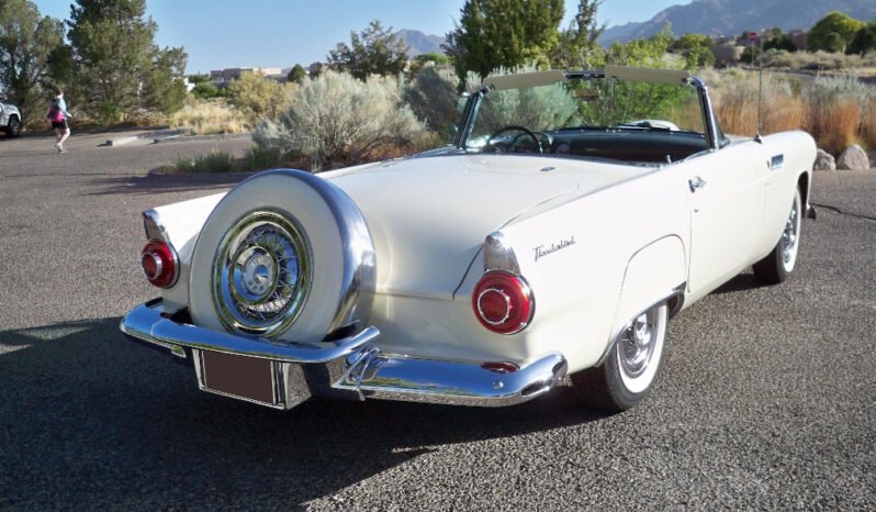 
								1956 Ford Thunderbird full									