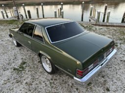 1980 Chevrolet Malibu Sport Coupe V6