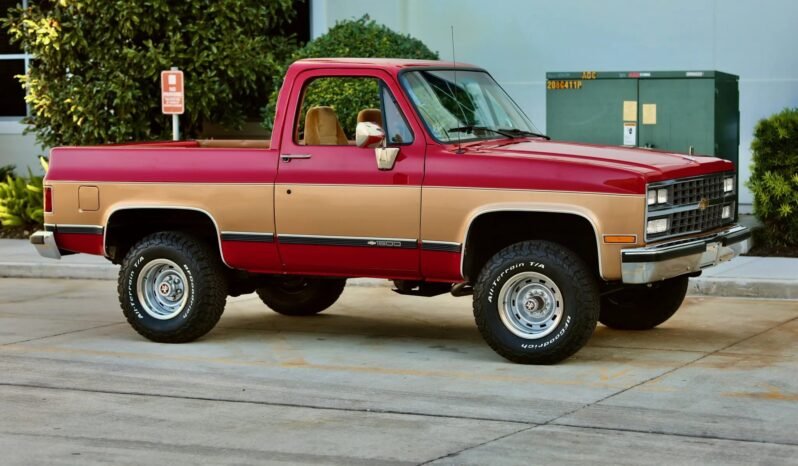 
								1989 Chevrolet Blazer Silverado full									