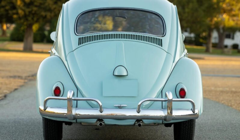 
								1961 Volkswagen Beetle Seafoam Green full									