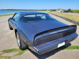 1980 Pontiac Firebird Turbo Trans AM