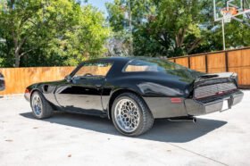 1979 Pontiac Firebird Trans AM 6-Speed