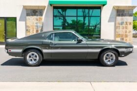 1969 Shelby GT350 Hertz