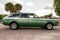 
										1973 AMC Hornet X Gucci full									