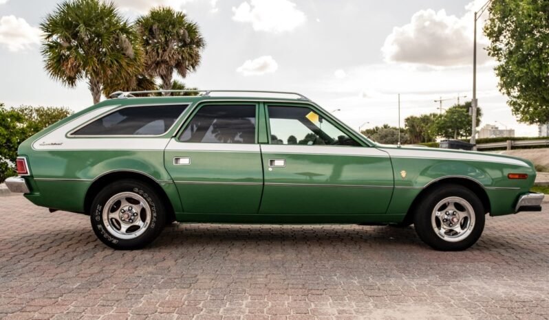 
								1973 AMC Hornet X Gucci full									