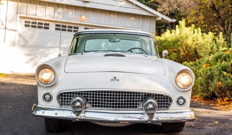 
								1955 Ford Thunderbird White full									