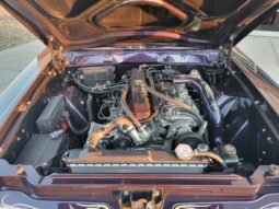 
										1971 AMC Gremlin full									