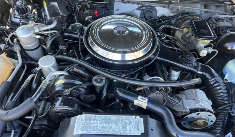 
								1984 Oldsmobile Hurst/Olds V8 full									