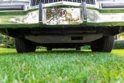 
										1983 Buick Riviera Convertible full									