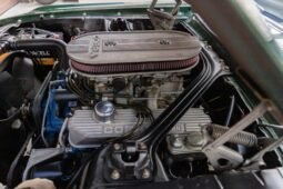 
										1967 Shelby Mustang GT500 Fastback full									