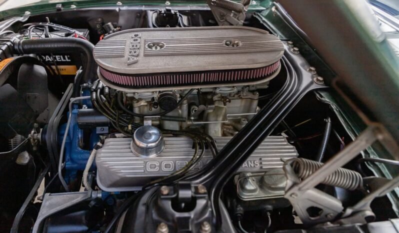 
								1967 Shelby Mustang GT500 Fastback full									