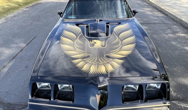 
								1979 Pontiac Firebird Trans AM Black full									