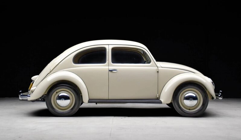 
								1951 Volkswagen Beetle Split-Window full									