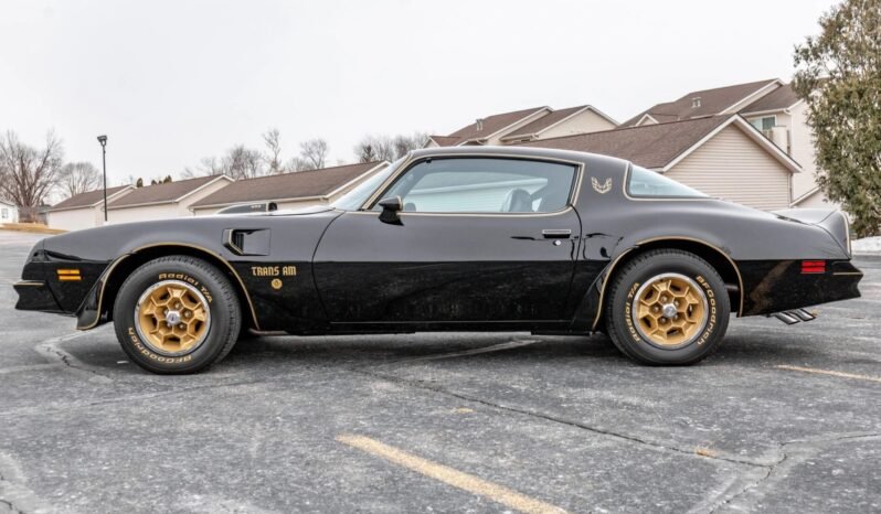 
								1976 Pontiac Firebird Trans AM Y82 full									