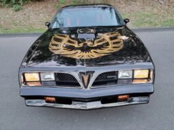 1978 Pontiac Firebird Trans AM WS6
