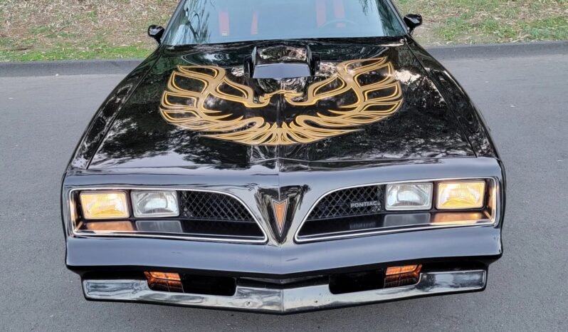 
								1978 Pontiac Firebird Trans AM WS6 full									