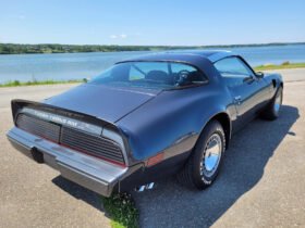 1980 Pontiac Firebird Turbo Trans AM