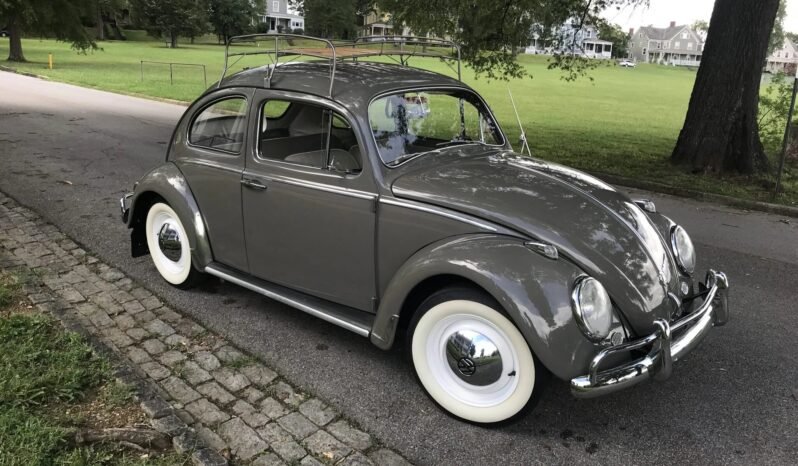 
								1963 Volkswagen Beetle full									