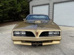 
										1978 Pontiac Firebird Trans AM Gold full									