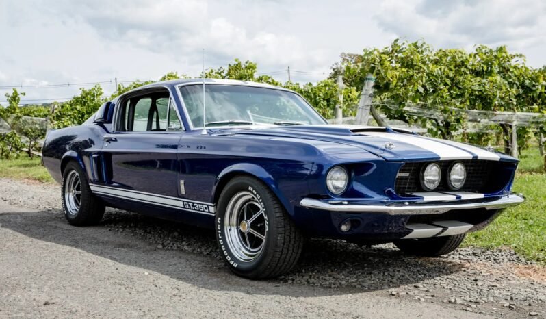 
								1967 Shelby Mustang GT350 V8 full									