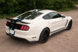 2020 Ford Mustang Shelby GT350