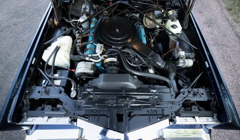 
								1981 Cadillac Eldorado full									