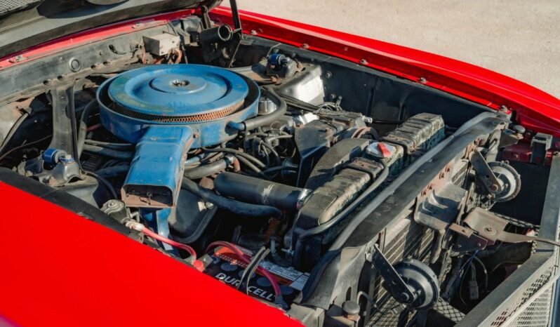 
								1969 Shelby Mustang GT500 Red full									