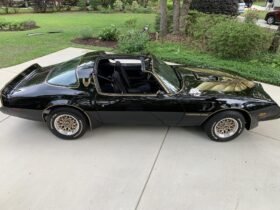 1979 Pontiac Firebird Trans Am Special Edition V8