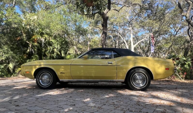 
								1973 Ford Mustang Convertible full									