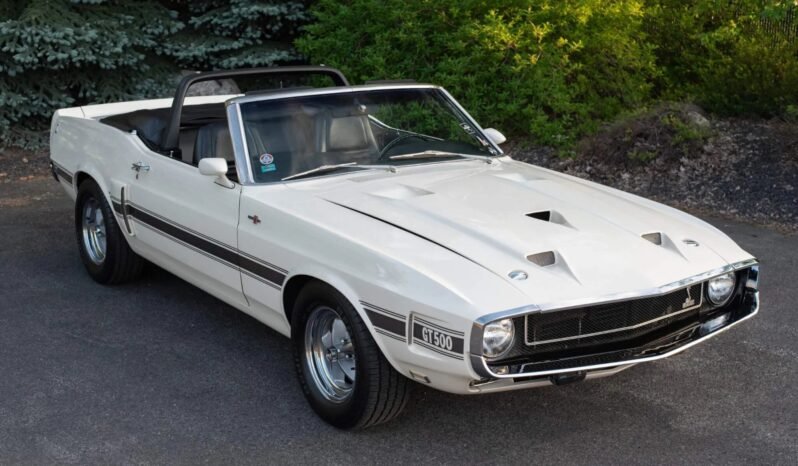 
								1969 Shelby Mustang GT500 full									