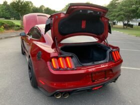 2018 Ford Mustang Shelby GT350R V8