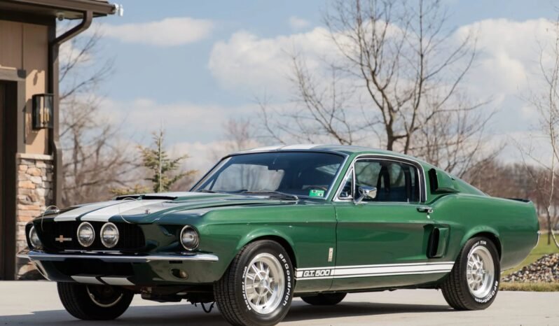 
								1967 Shelby Mustang GT500 Fastback full									