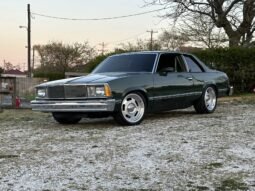 1980 Chevrolet Malibu Sport Coupe V6