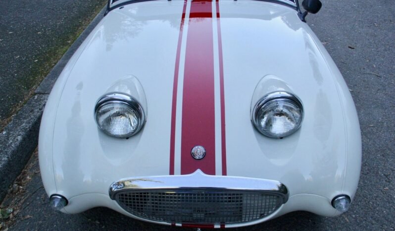 
								1959 Austin-Healey Bugeye Sprite White full									