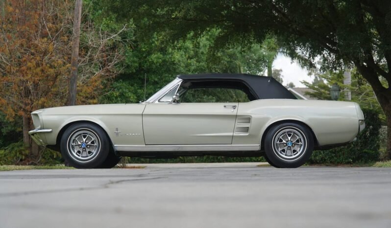 
								1967 Ford Mustang Convertible full									