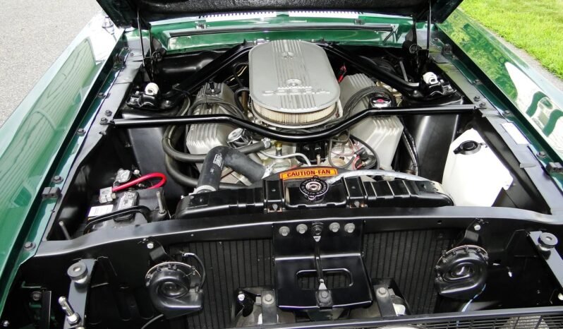 
								1967 Ford Mustang Shelby Recreation full									