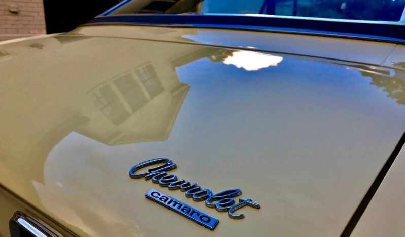 
								1967 Chevrolet Camaro SS L78 full									