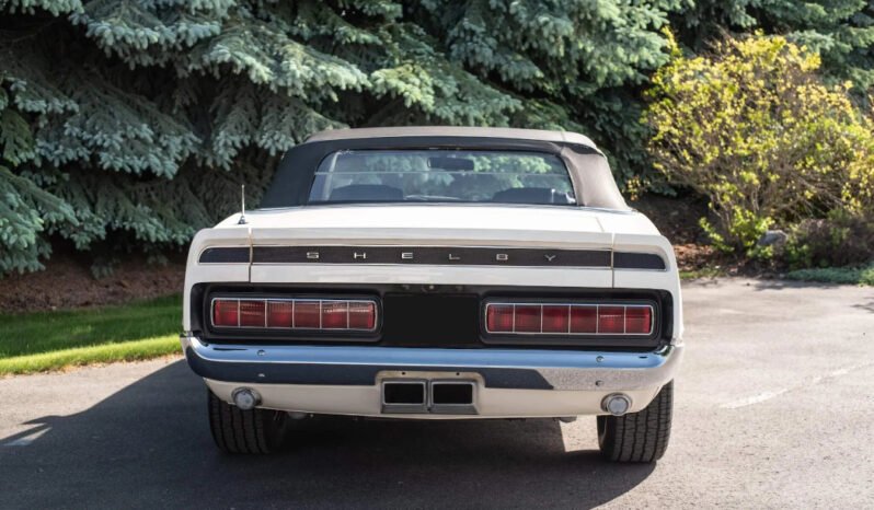 
								1969 Shelby Mustang GT500 full									