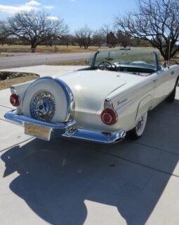 1956 Ford Thunderbird Convertible