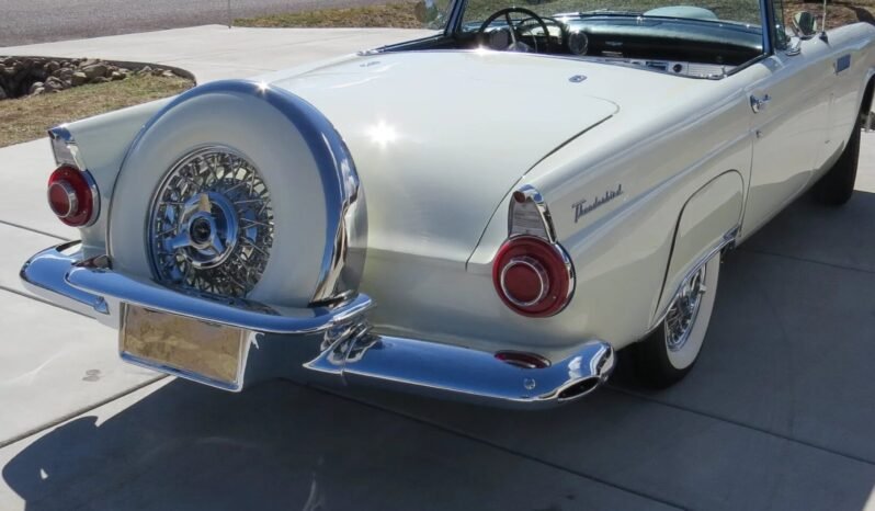 
								1956 Ford Thunderbird Convertible full									