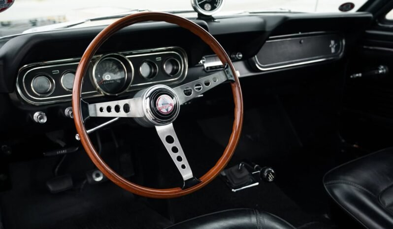 
								1966 Shelby Mustang GT350H Fastback full									