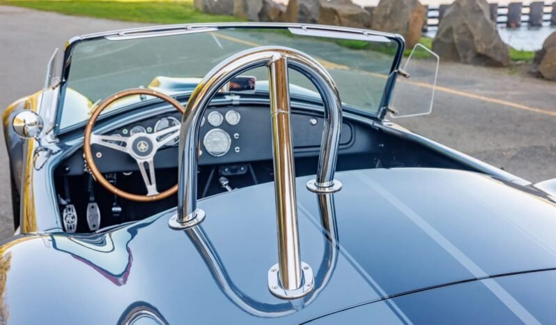 
								1965 Hurricane Motorsports Shelby Cobra full									