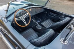 
										1965 Hurricane Motorsports Shelby Cobra full									