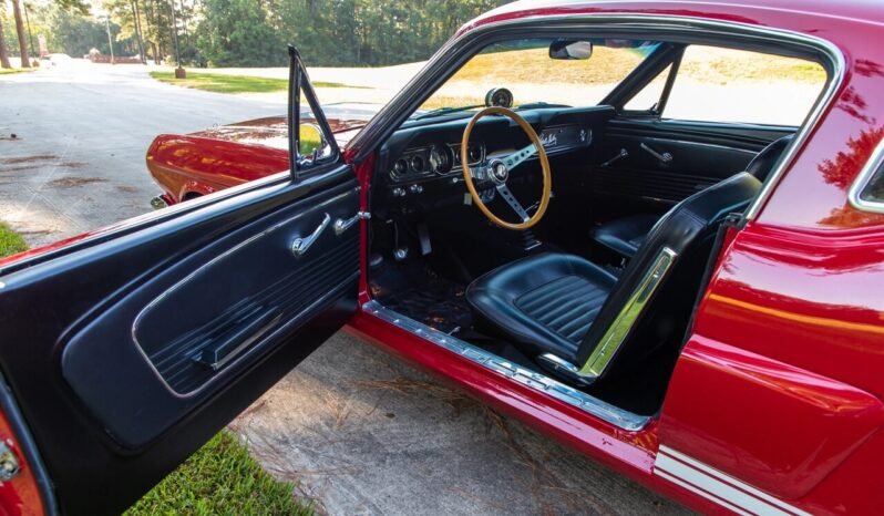 
								1966 Shelby Mustang GT350 full									