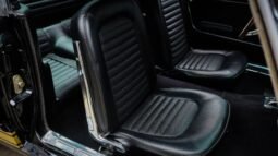 
										1966 Shelby Mustang GT350H Black full									