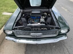 
										1966 Ford Mustang Fastback 302 V8 full									