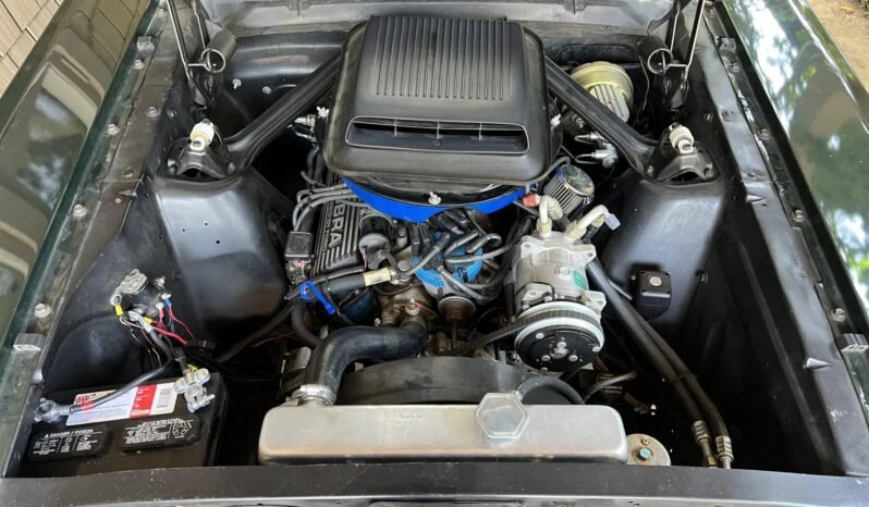 
								1966 Ford Mustang Fastback 302 V8 full									