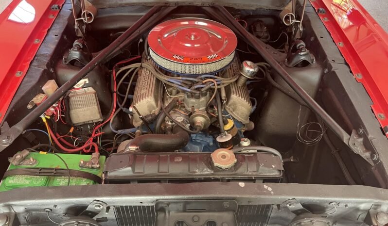 
								1965 Ford Mustang Red full									