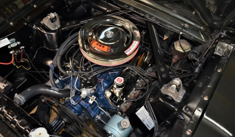 
								1966 Ford Mustang Fastback GT V8 full									