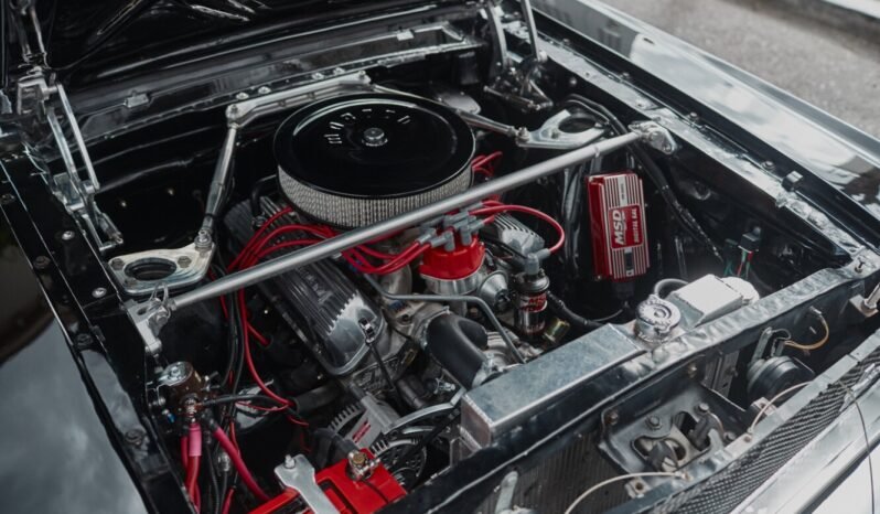 
								1965 Ford Mustang 331 Fastback full									